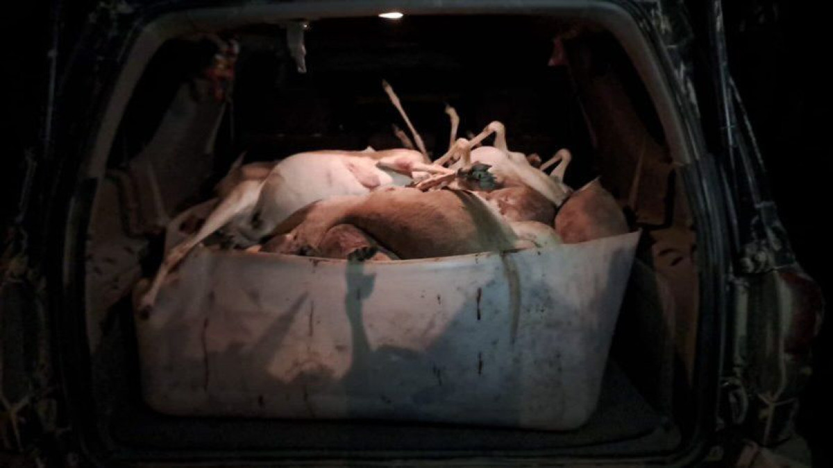 Охотзоопром