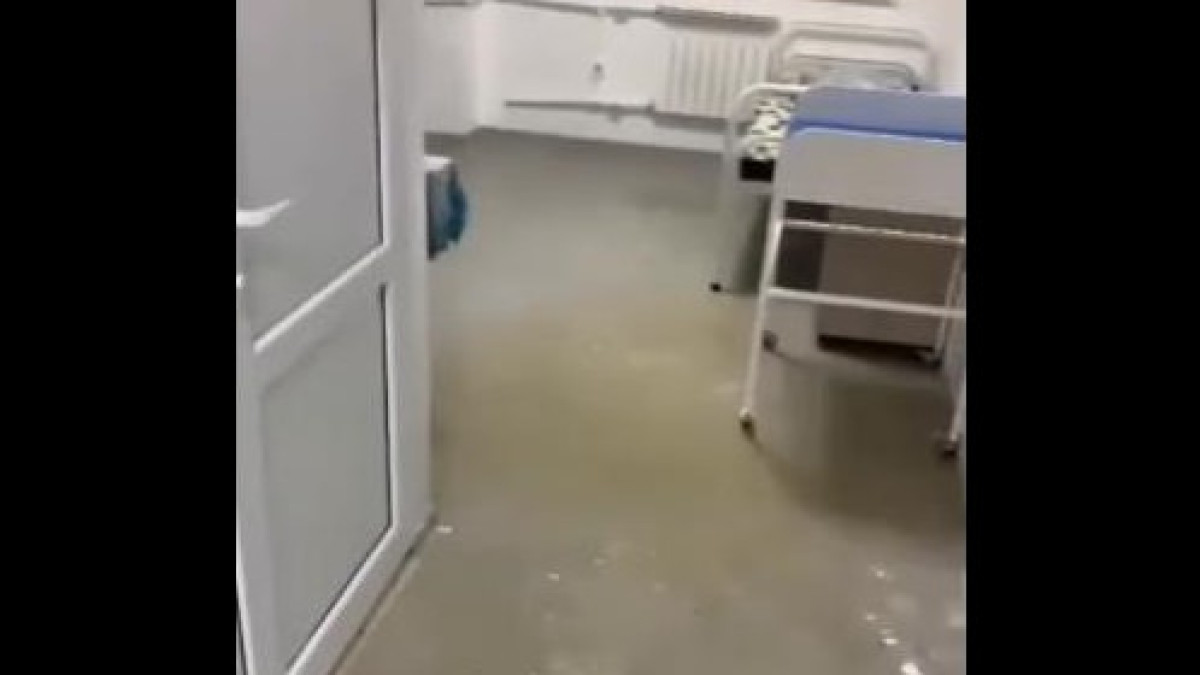 стопкадр / instagram.com/zhezsat.vseobovsem