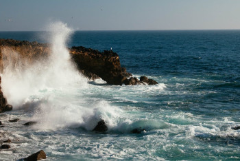 Фотография к новости: Более 40 мигрантов погибли у берегов острова Лампедуза