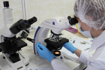 Фотография к новости: Когда будут готовы результаты экспертизы по массовому отравлению детей в Караганде, рассказали в СЭС