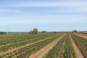 Фотография к новости: В Минэкологии заявили о дефиците поливной воды в трех районах Жамбылской области