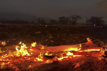 Лесные пожары на Гавайях: число жертв растет