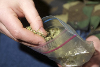 Фотография к новости: Торговавший марихуаной  Telegram-канал прикрыли павлодарские полицейские