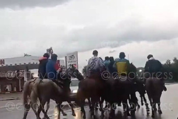 Фотография к новости: За игру в кокпар на трассе накажут жителей Алматинской области