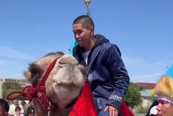 Фотография к новости: За шикарные бои Азату Максуму и Асу Алмабаеву подарили по коню и верблюду