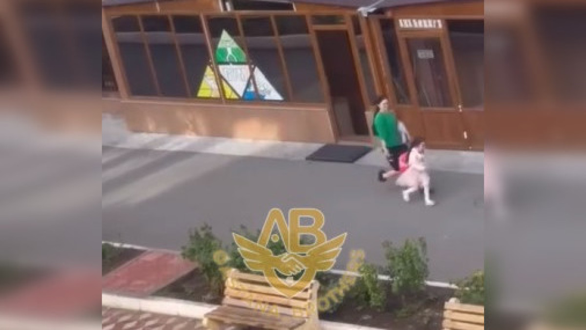 скриншот с видео