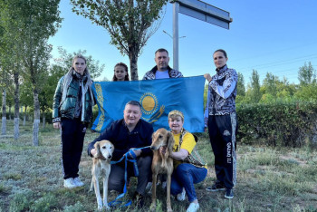 Фотография к новости: Казахские тазы впервые будут представлены на Всемирной выставке собак в ЕС
