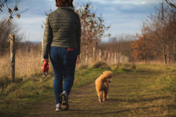 Фотография к новости: Астанчане могут бесплатно зарегистрировать своих питомцев