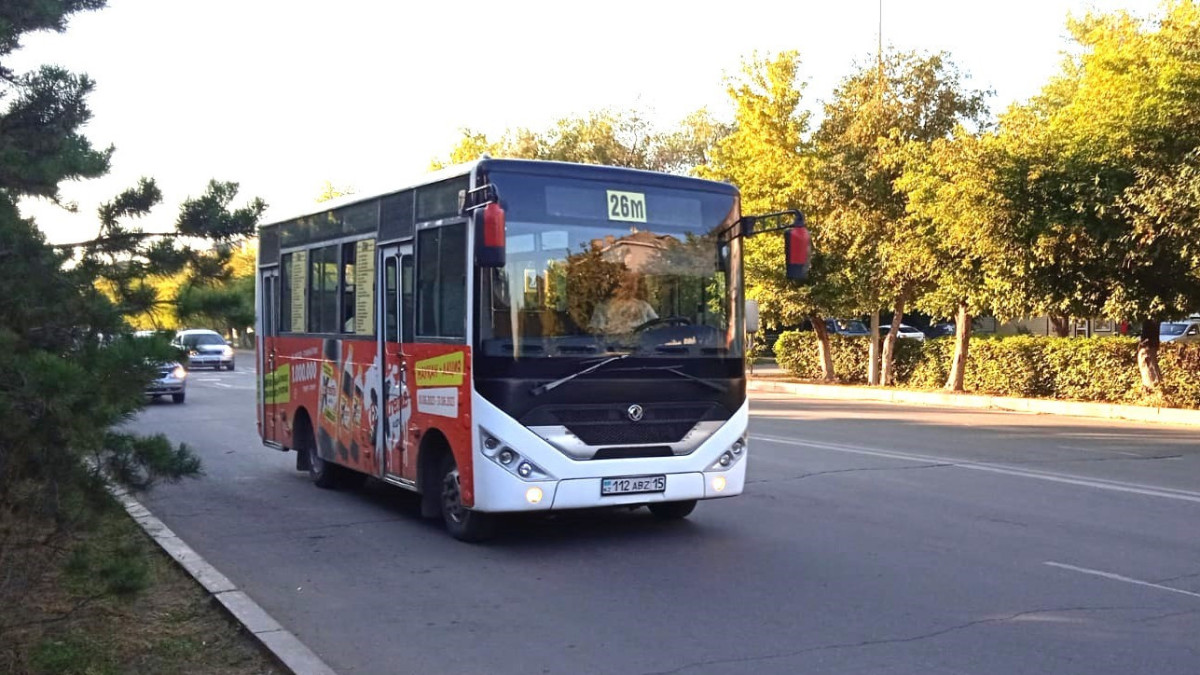 Анна Мирская