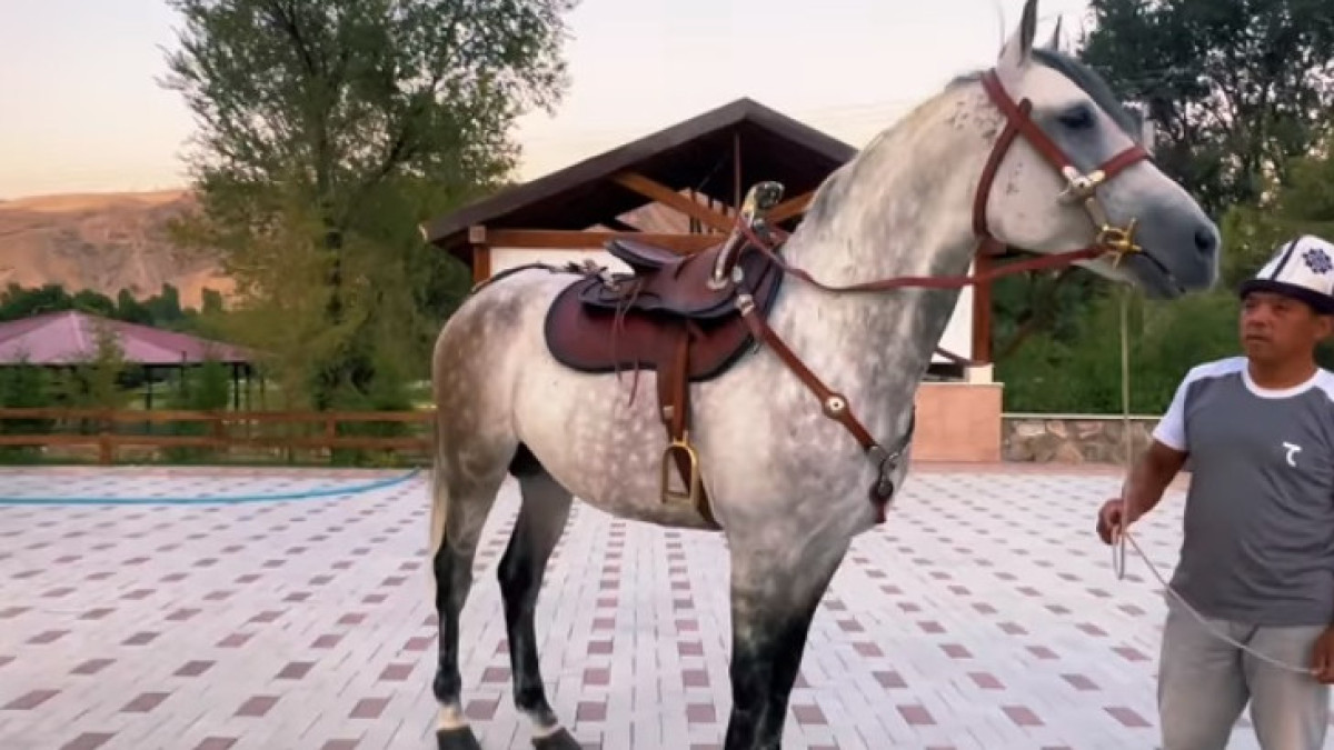 скриншот с видео