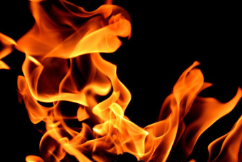 Фотография к новости: Три участка горят в Наурзумском заповеднике Костанайской области