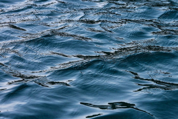 Фотография к новости: В Туркестанской области утонули 11 человек