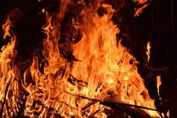 Фотография к новости: Тушить пожар в Наурузумском заповеднике помогают силы трех регионов РК