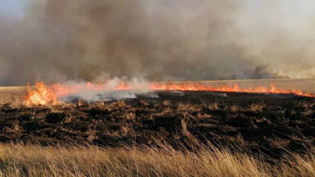 администрация Наурзумского заповедника