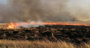 Пожар в заповеднике в Костанайской области: один человек получил ожоги