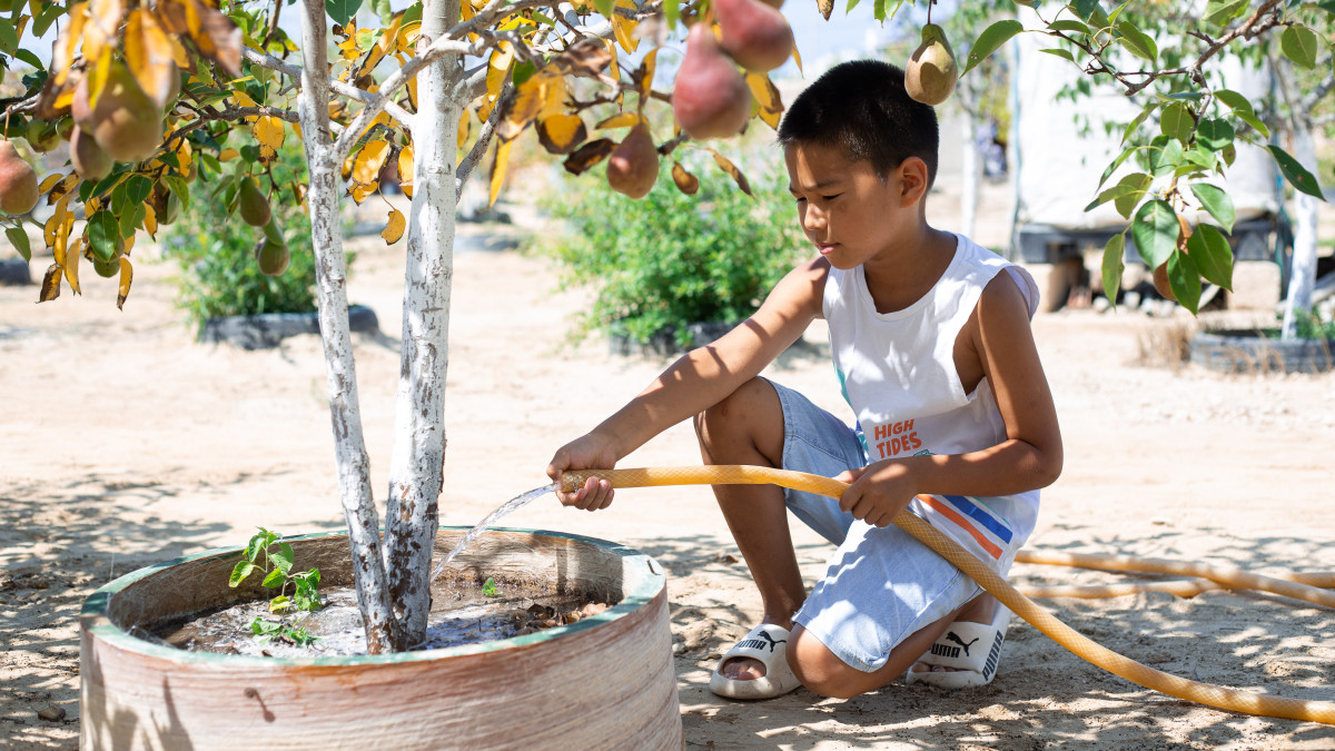 фонд «Халық»