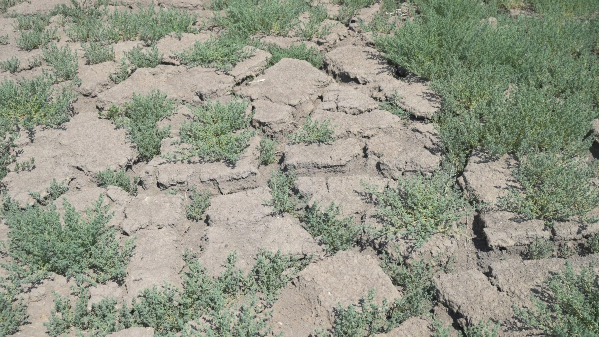 Sputnik Қазақстан