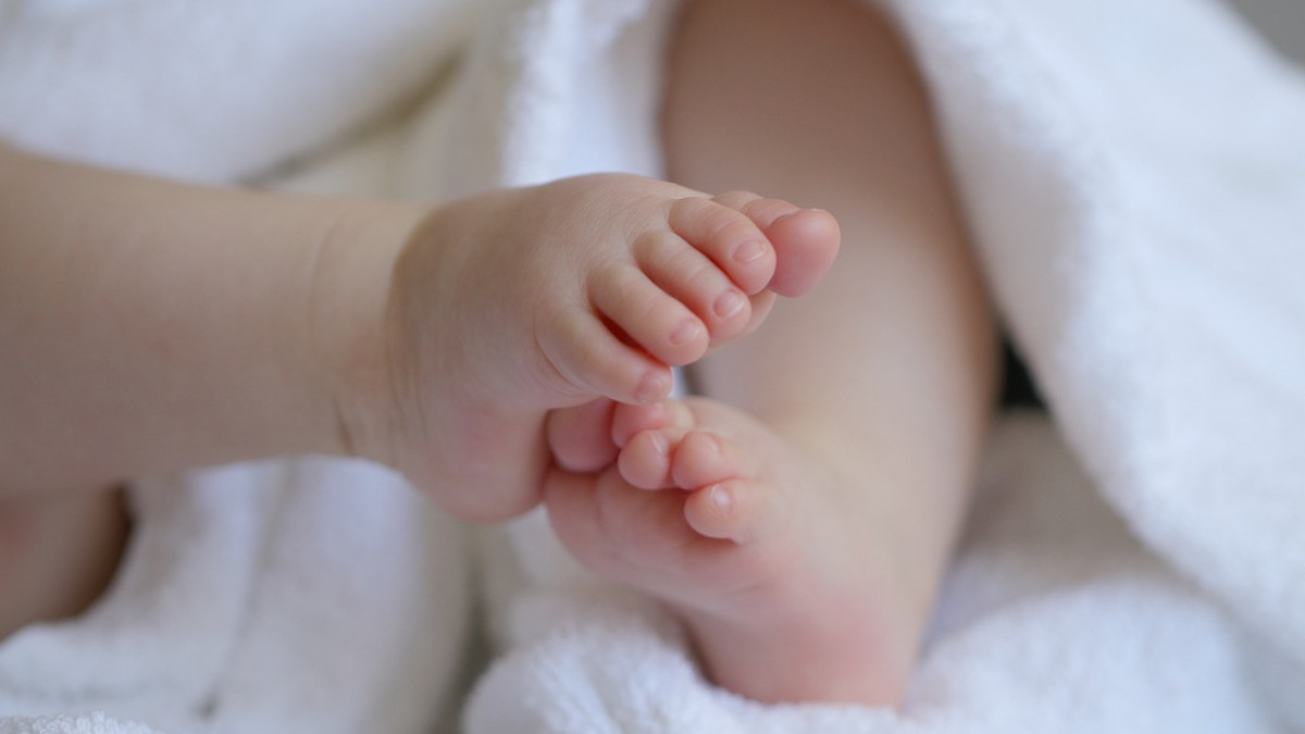 pixabay.com / иллюстративное фото