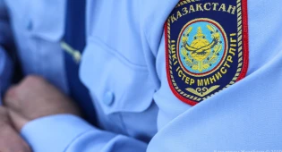 &quot;Сорвала погоны, порвала рубашку&quot;: акмолинка напала на полицейского