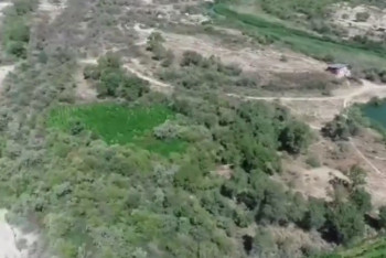 Фотография к новости: Наркоплантацию и склад с оружием обнаружили полицейские в Алматинской области