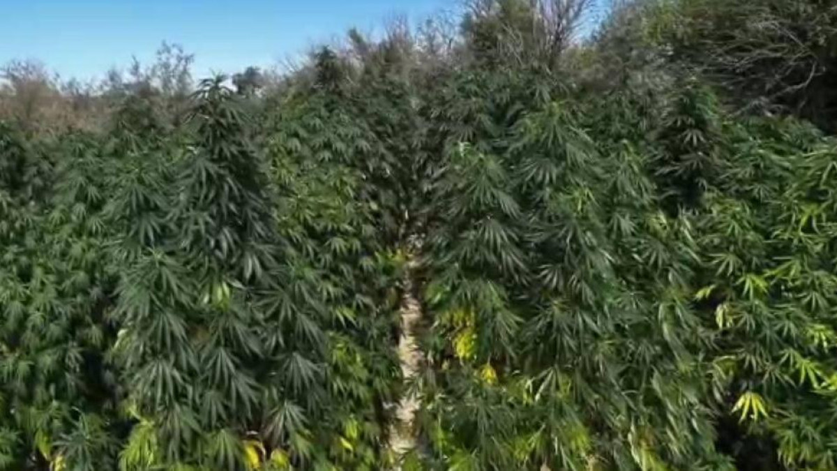 Источник: Polisia.kz