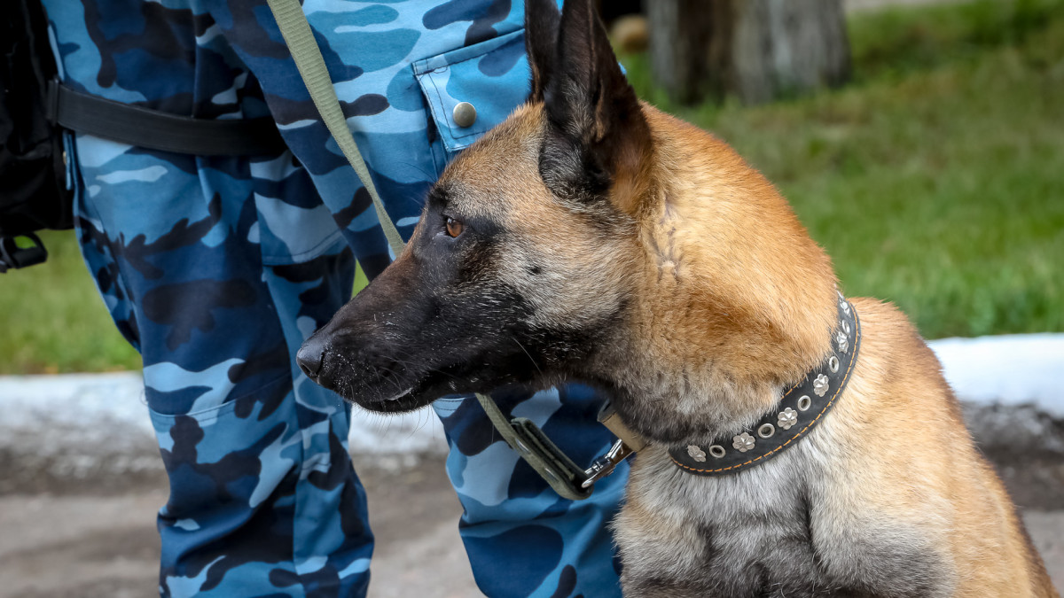 baigenews.kz/Бауыржан Жуасбаев