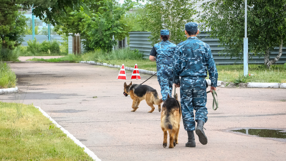 baigenews.kz/Бауыржан Жуасбаев