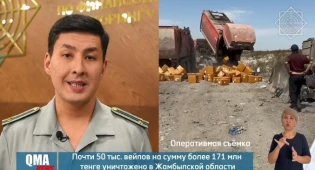 Как в Жамбылской области уничтожили почти 50 тысяч вейпов