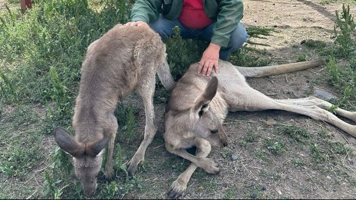 Фото: акимат Карагандинской области