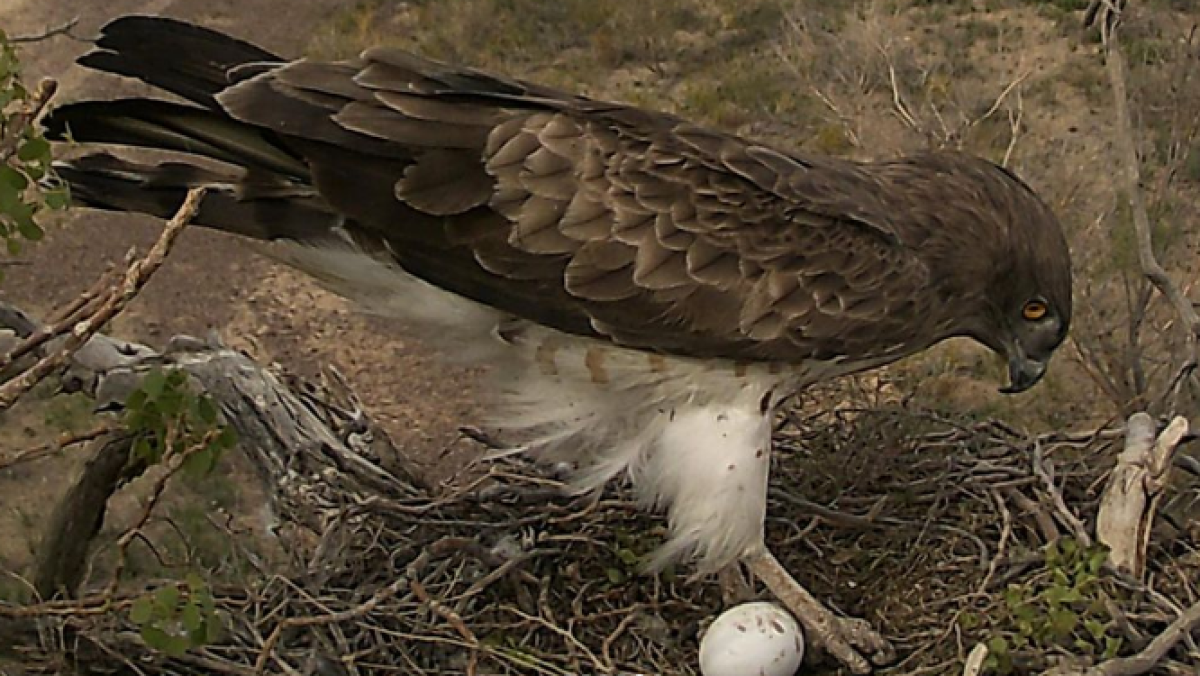 instagram.com/altynemel_np