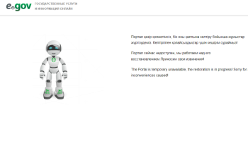 Сбои в работе портала электронного правительства объяснили в НИТ