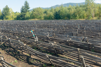 Фотография к новости: Токаев: Мы до сих пор не можем раскрыть потенциал сельскохозяйственной отрасли в полной мере
