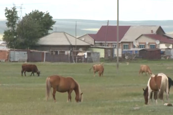 Фотография к новости: Село в Акмолинской области закрыли на карантин
