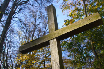 Фотография к новости: Человеческий череп нашли на одной из могил в Караганде