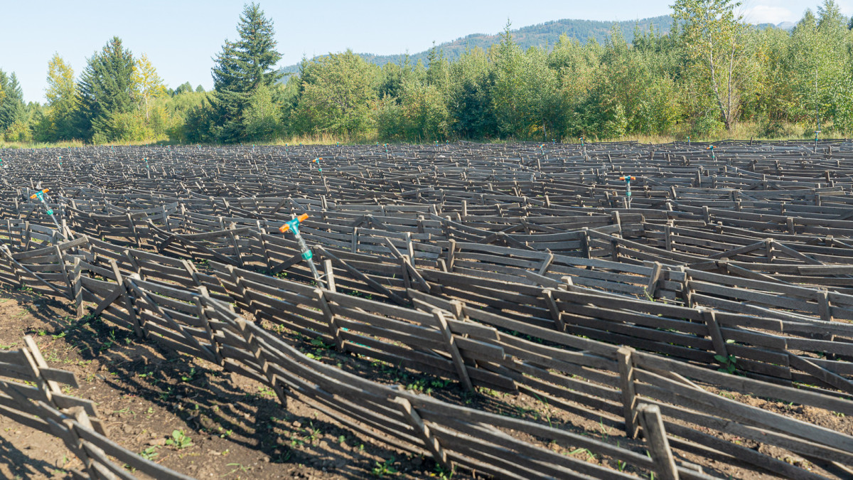 Фото: BaigeNews.kz