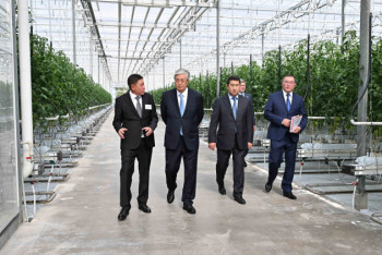 Фотография к новости: Токаеву показали передовые технологии в выращивании томатов в Алматинской области