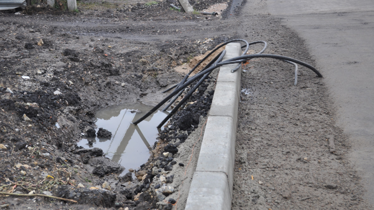 Анна Мирская