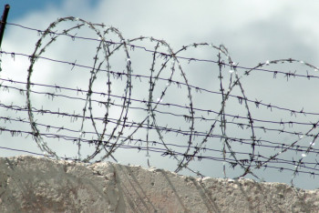 Избиение заключённого в колонии Атбасара: 14 сотрудников уволены