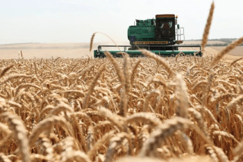 Фотография к новости: Пострадавшим от ЧС аграриям будут возмещать ущерб – Минсельхоз РК