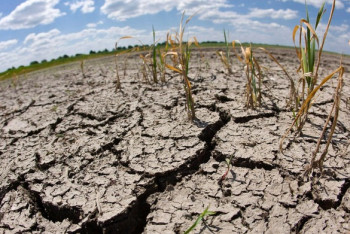 Фотография к новости: Времени на раскачку нет - эксперт о решении водной проблемы в Казахстане