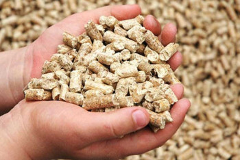 Китайская компания построит завод по производству комбикорма в СКО