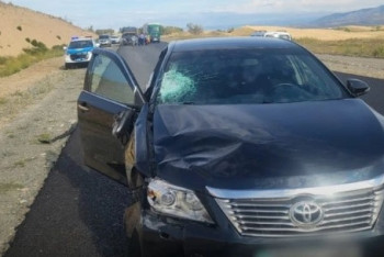 Работника дорожной службы насмерть сбили на трассе Алматы - Усть-Каменогорск