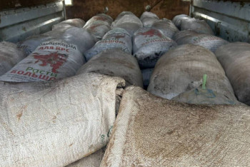 2,5 тонны рачков артемия салина изъяли у павлодарца