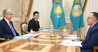 Токаев принял председателя правления &quot;Казахтелекома&quot;