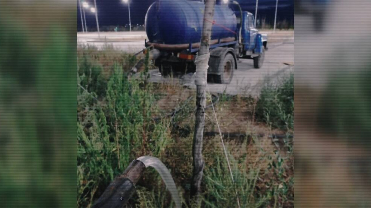 кадр с видео