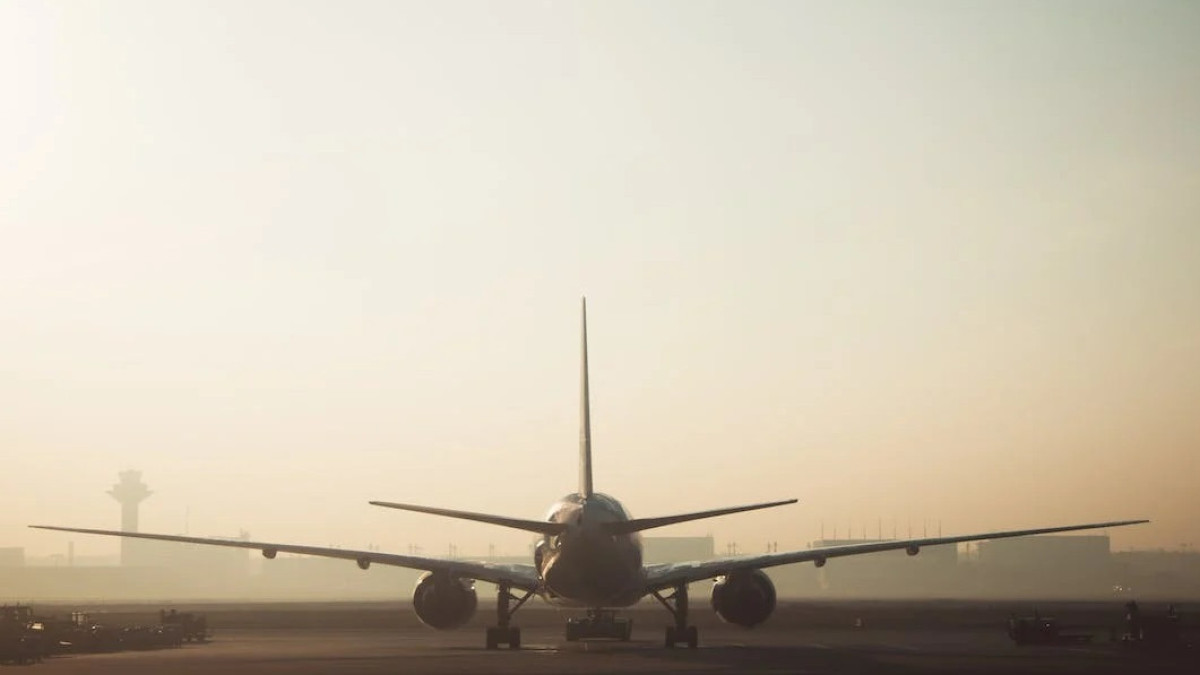 pexels.com / иллюстративное