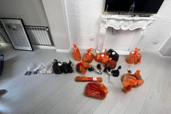 Нарколабораторию нашли полицейские в алматинской квартире