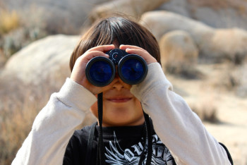 Как увидеть зелёную комету Нисимура, которая вернётся только через 400 лет