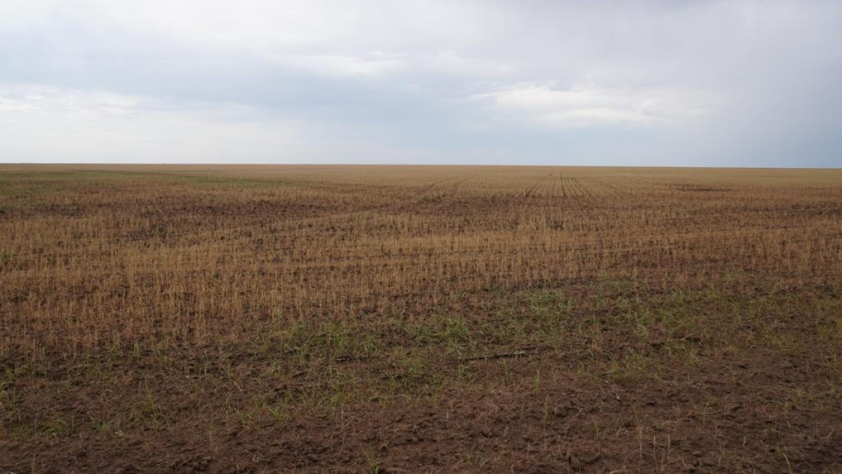 предоставлено Иваном Богомоловым.