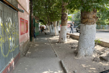 Фотография к новости: Стихийную продажу животных возле рынков Шымкента запретили